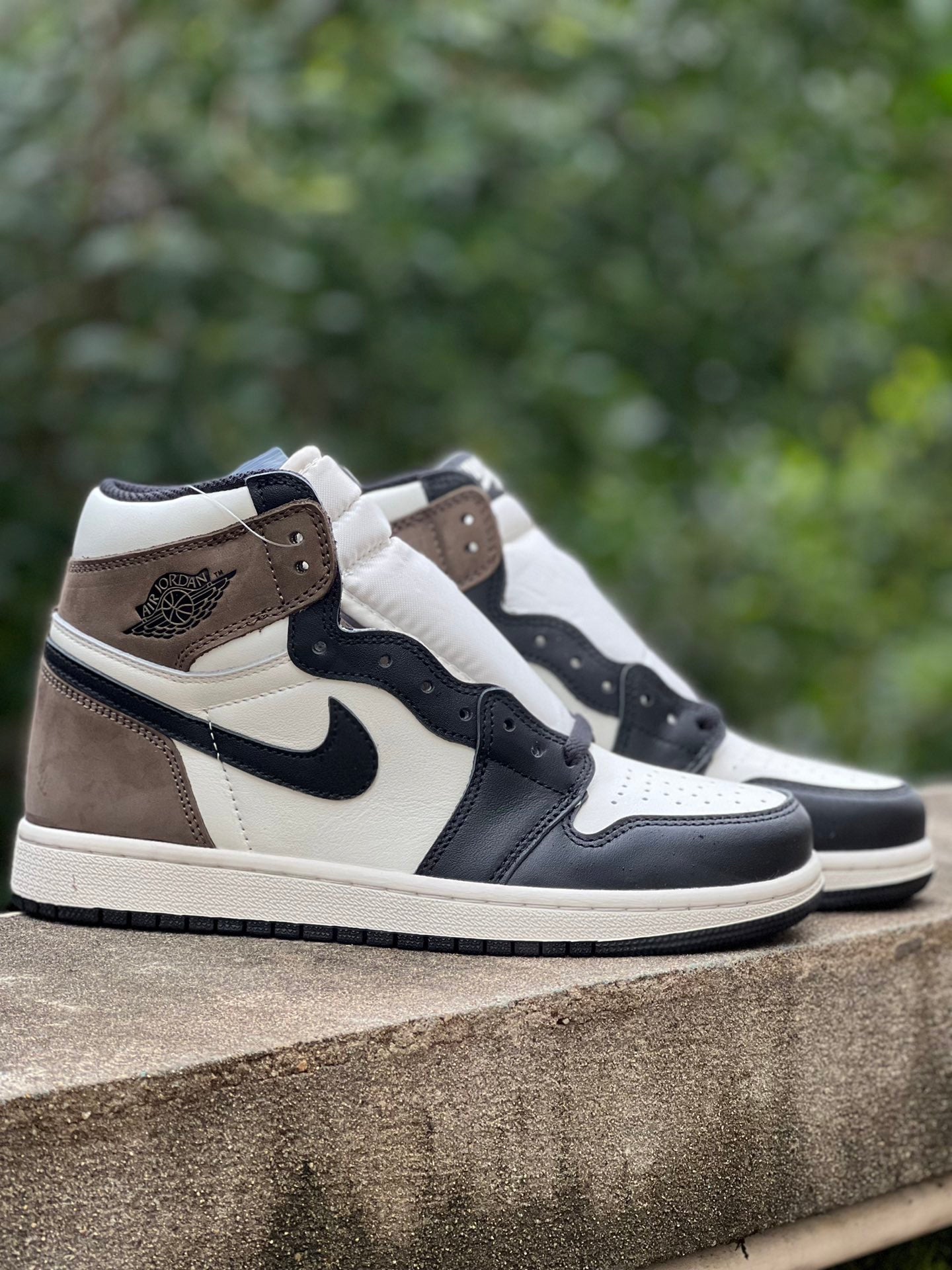 Air Jordan 1 Retro
