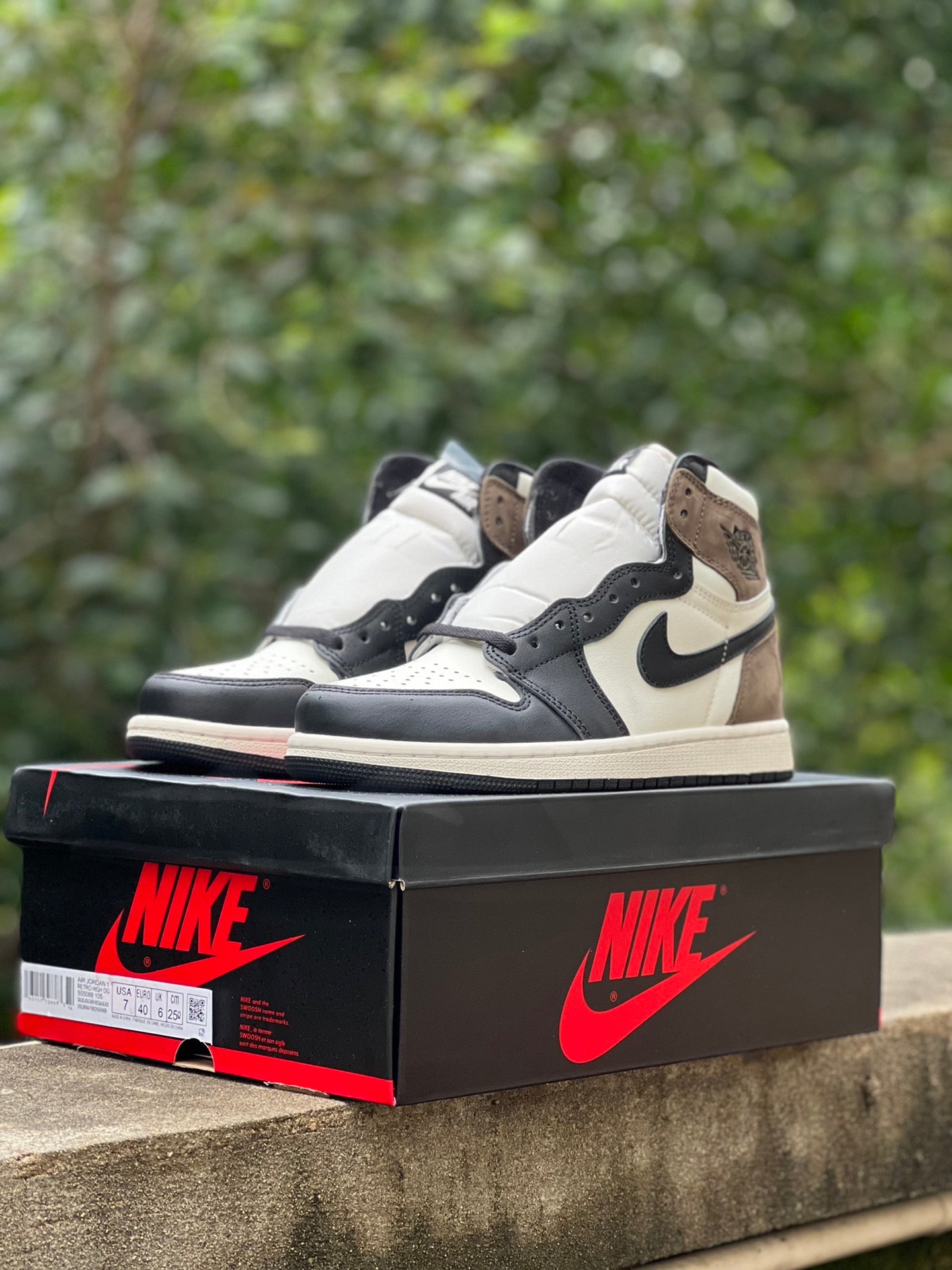 Air Jordan 1 Retro