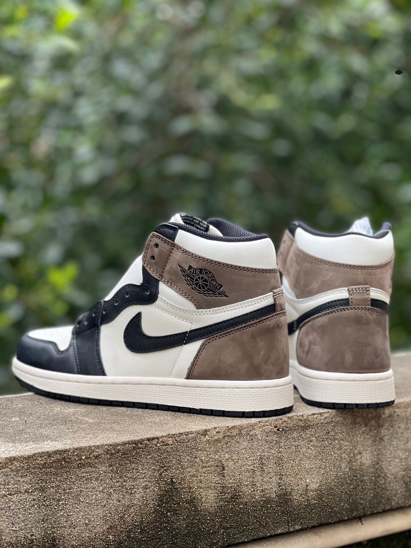 Air Jordan 1 Retro