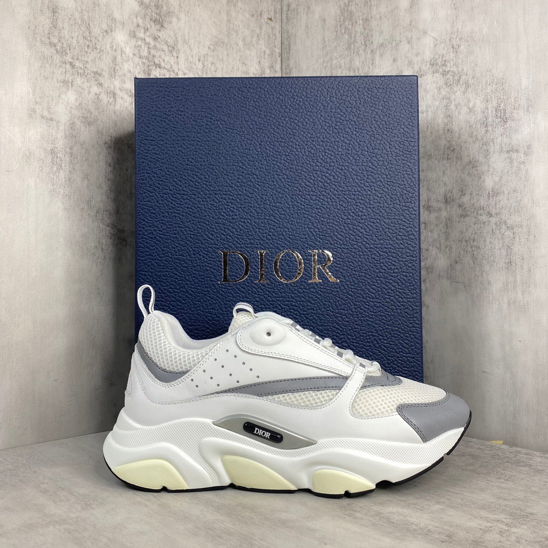 Dior B22
