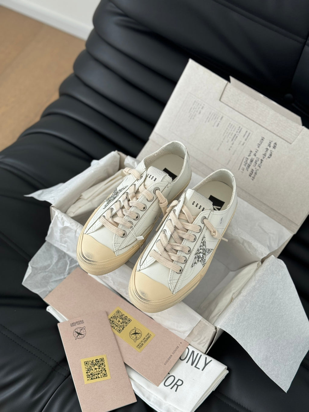 Golden Goose VSTAR2