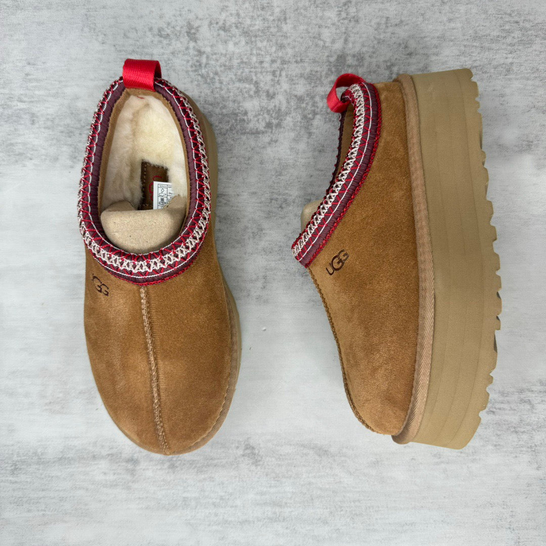 UGG TAZZ ll