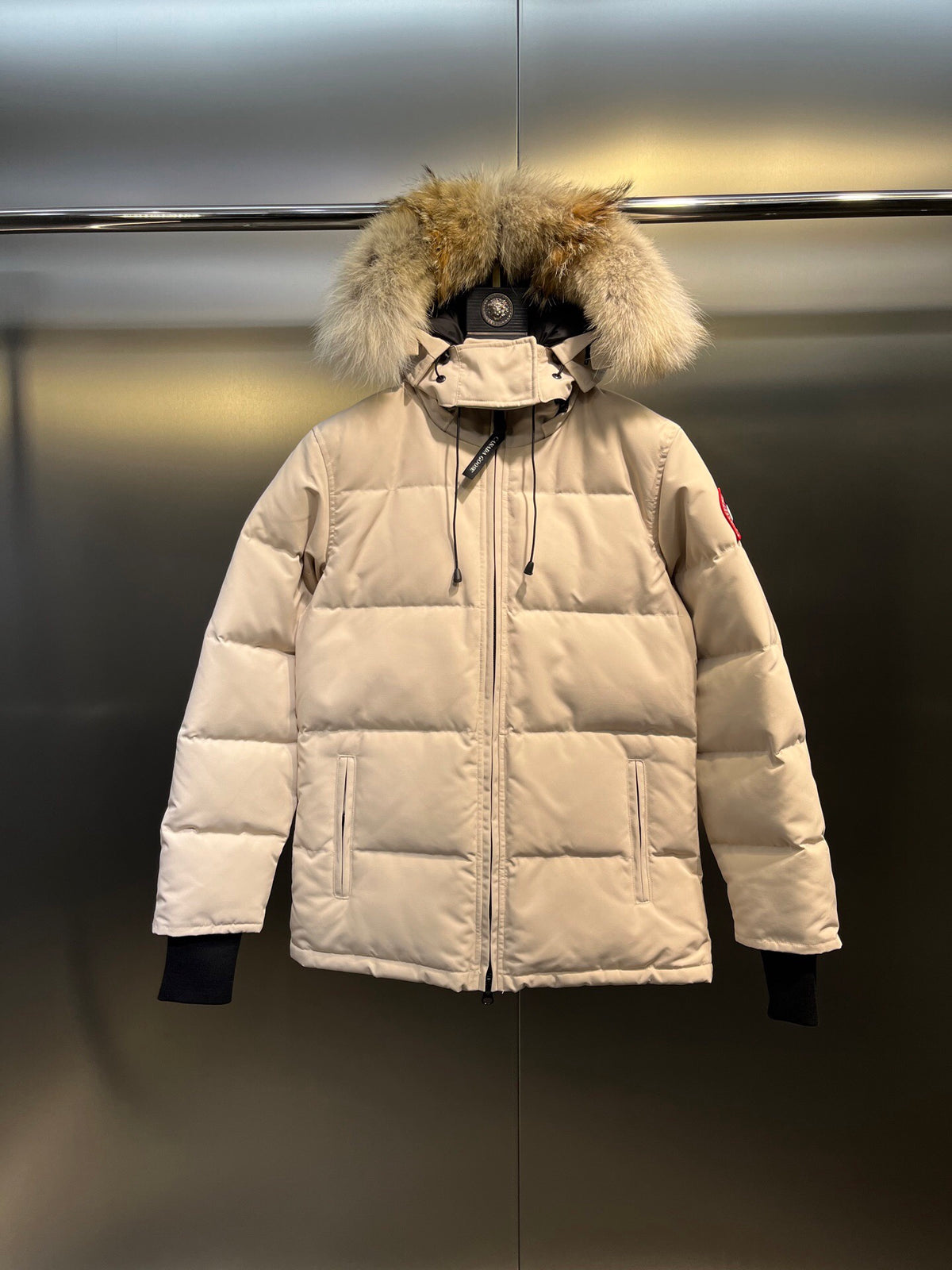 Canada Goose