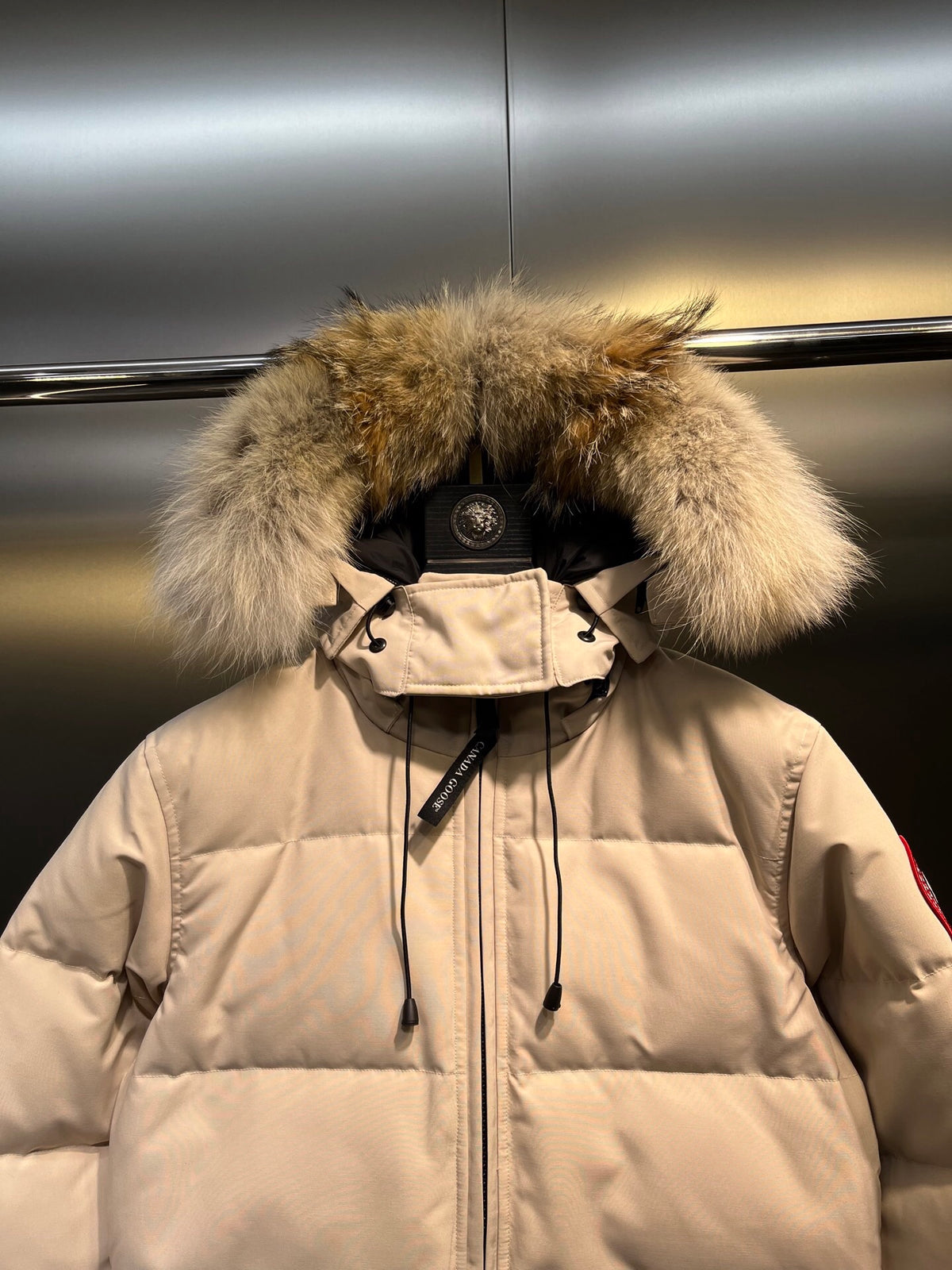 Canada Goose