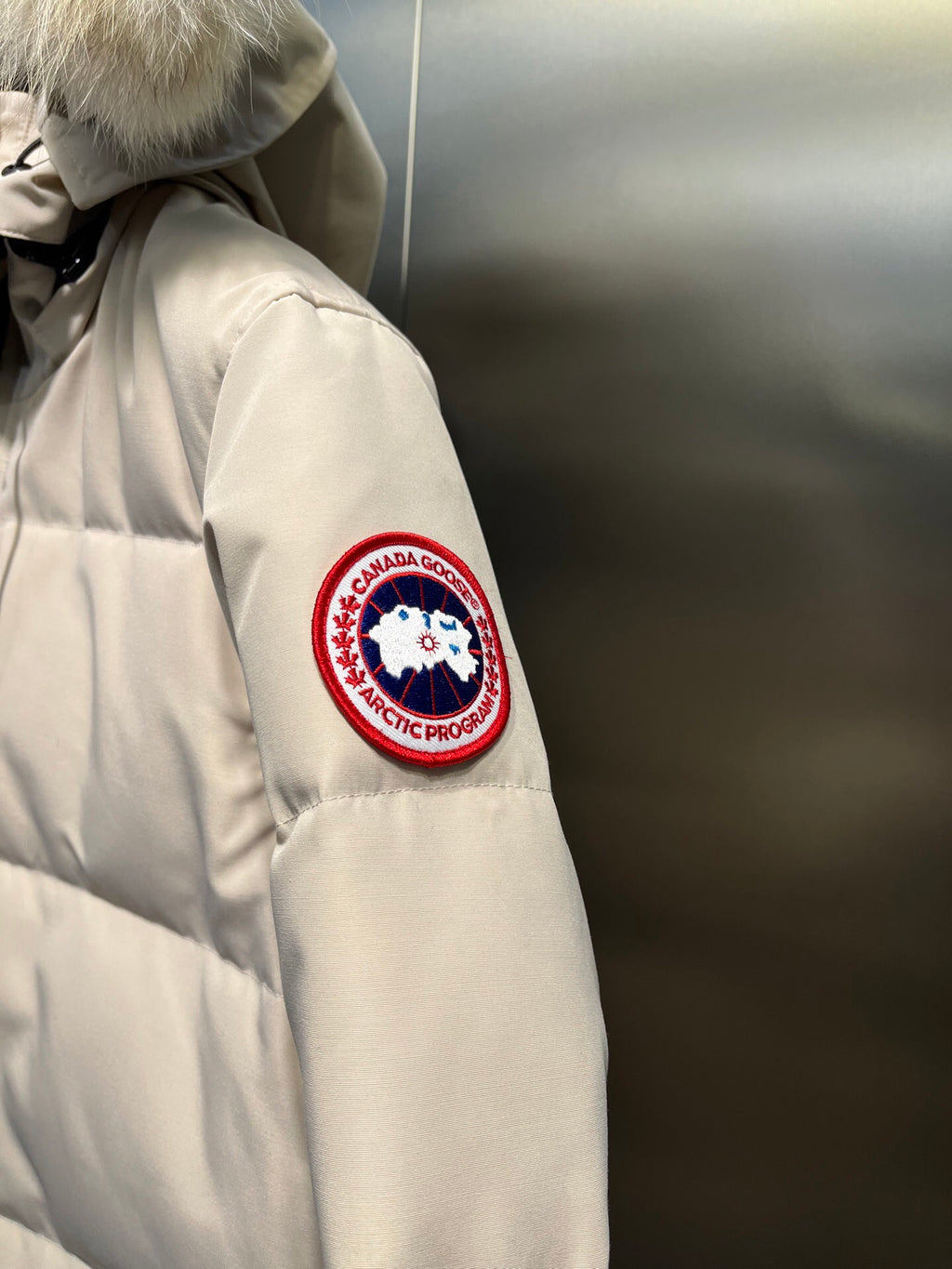 Canada Goose
