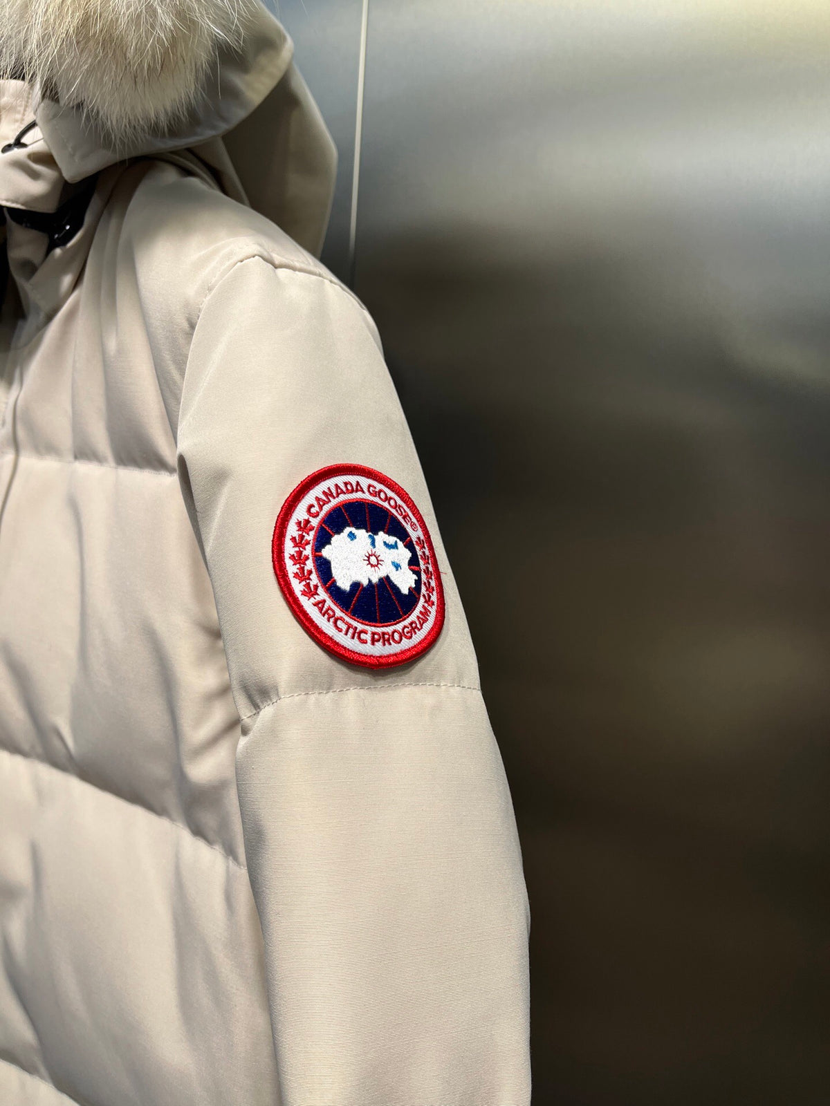 Canada Goose