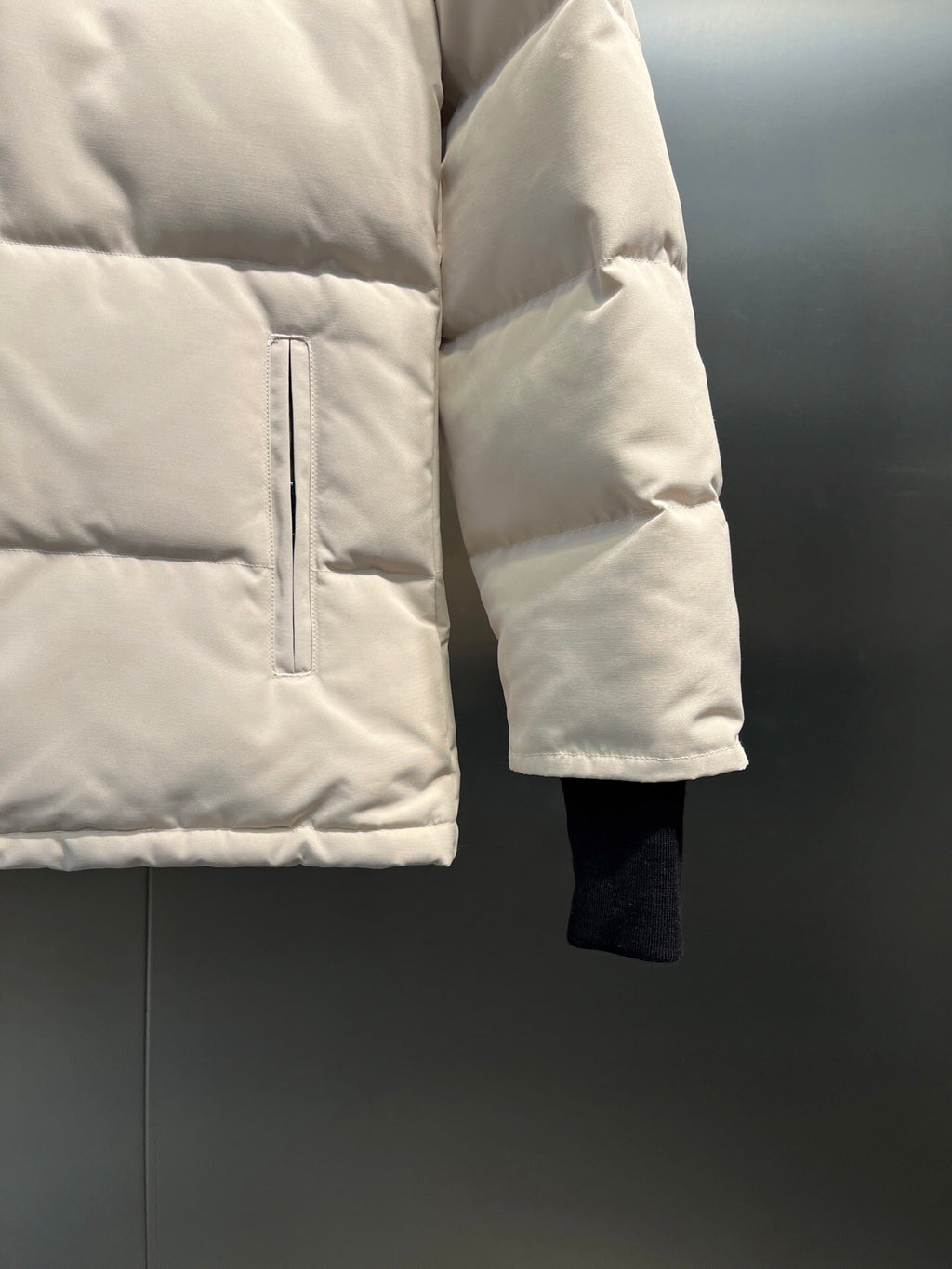 Canada Goose