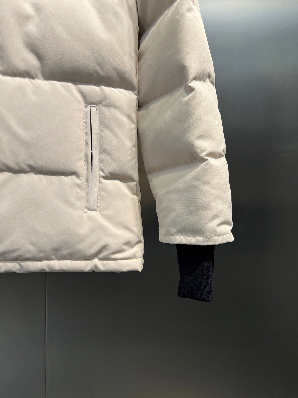 Canada Goose