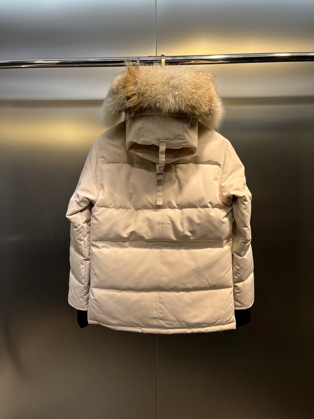 Canada Goose