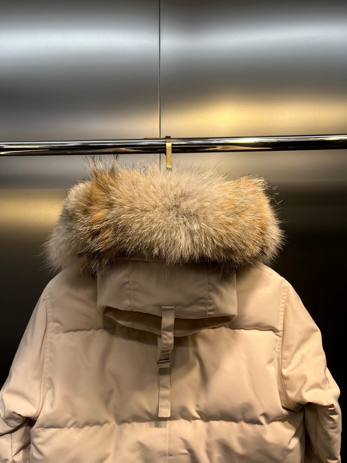 Canada Goose