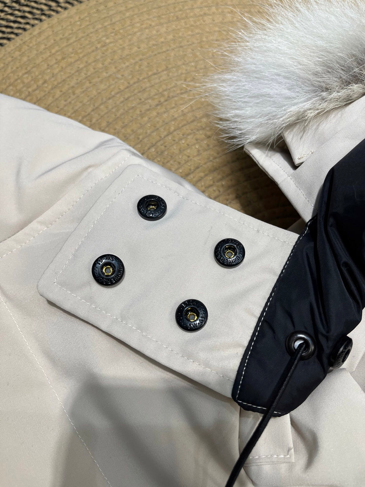 Canada Goose