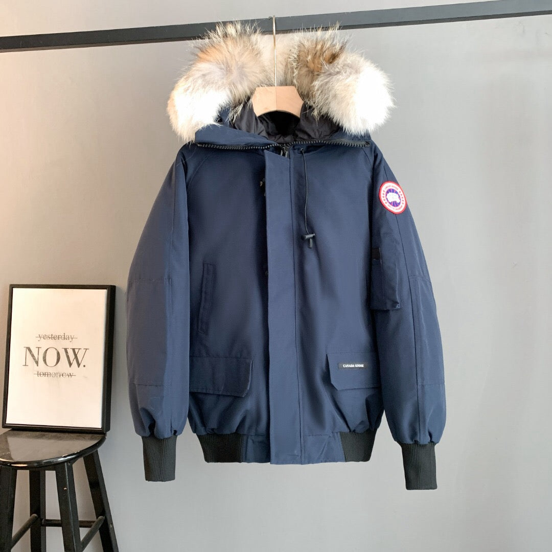Canada Goose