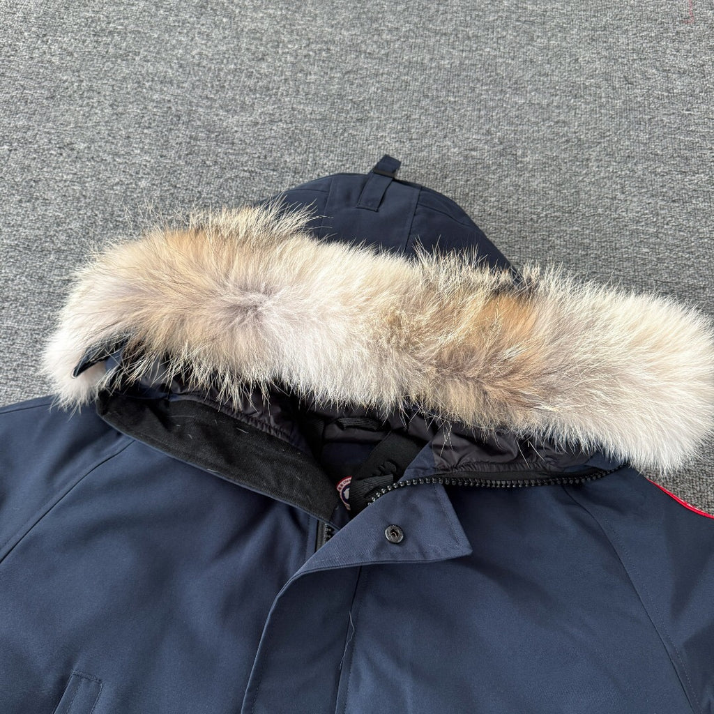 Canada Goose