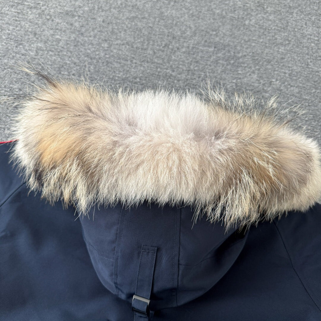 Canada Goose
