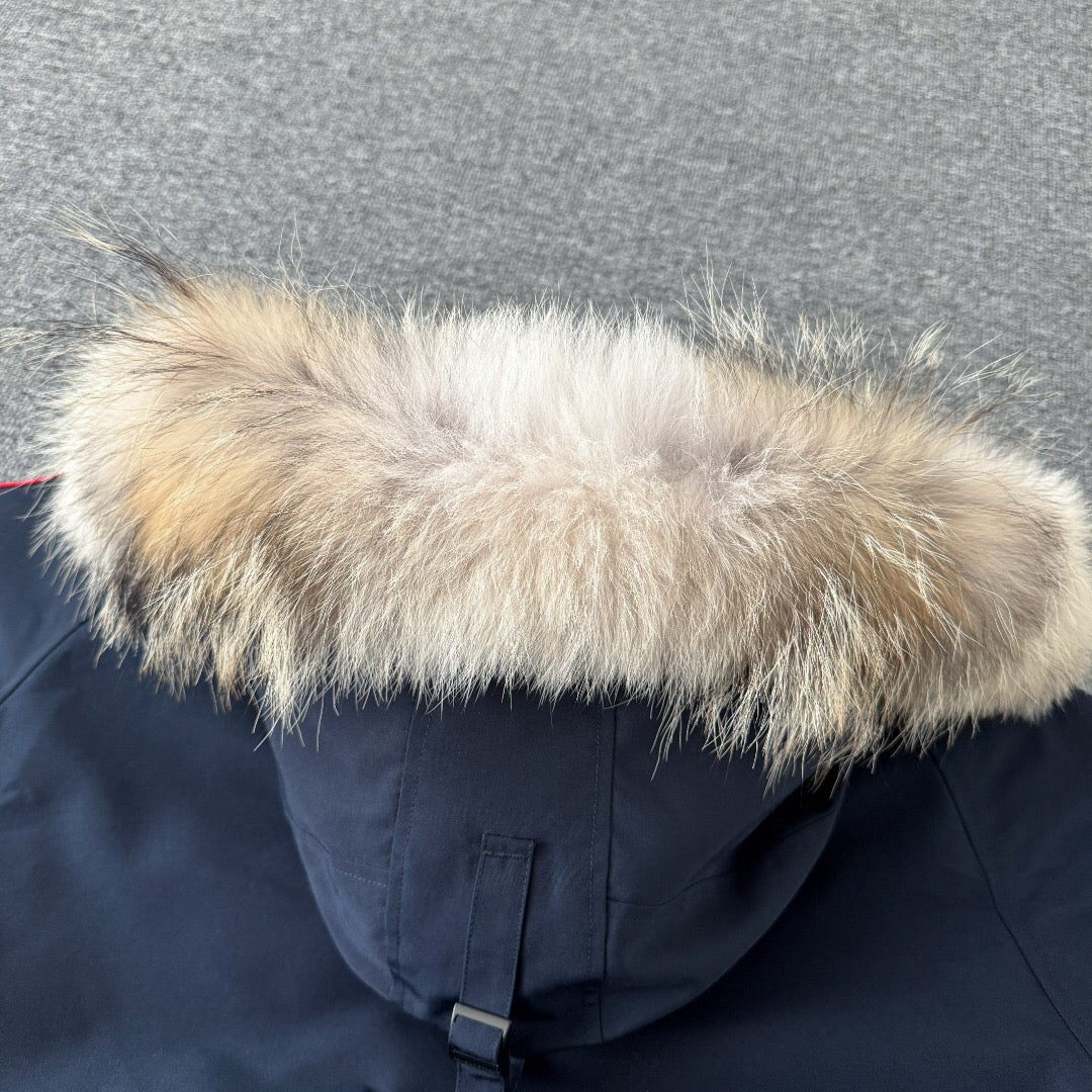 Canada Goose