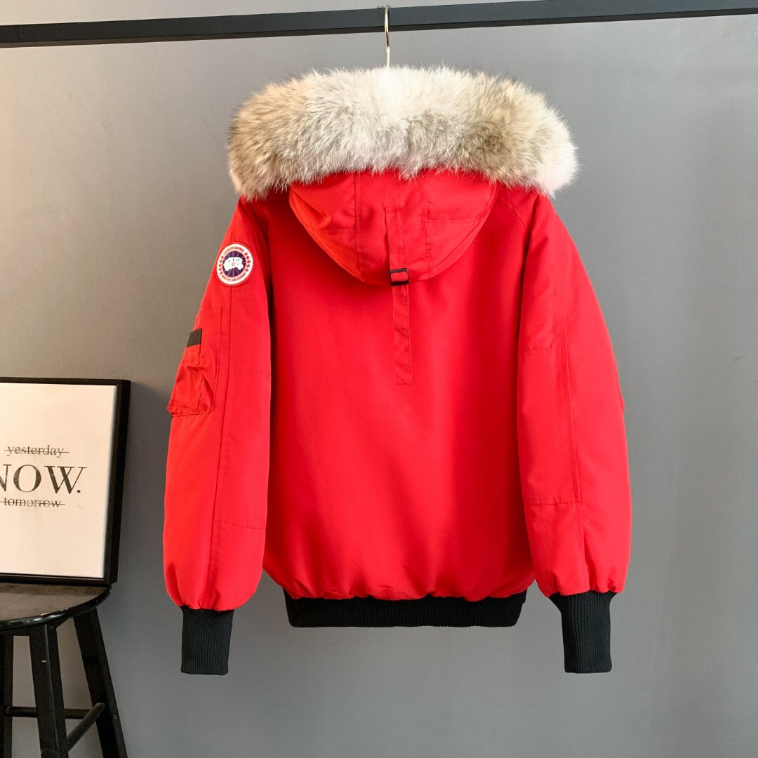 Canada Goose