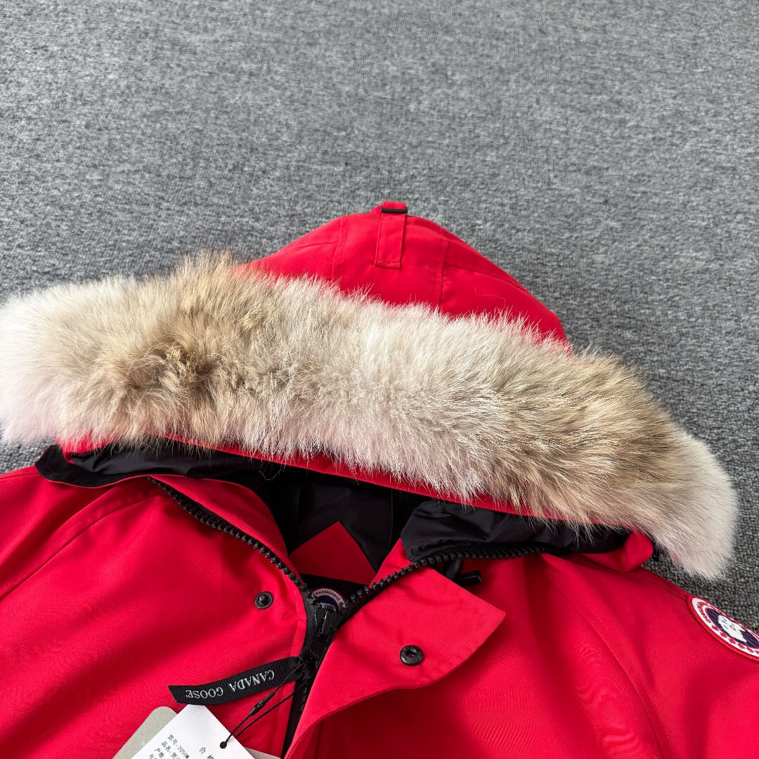 Canada Goose