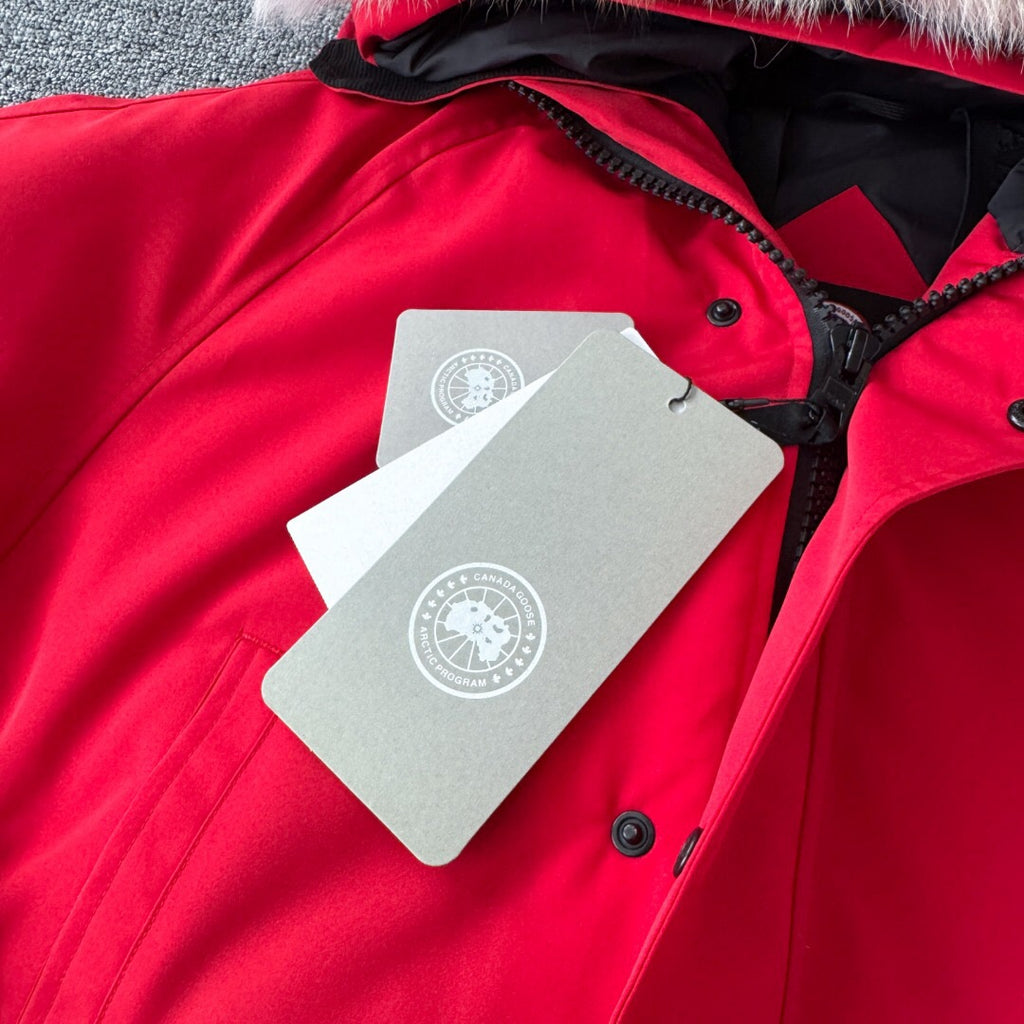Canada Goose