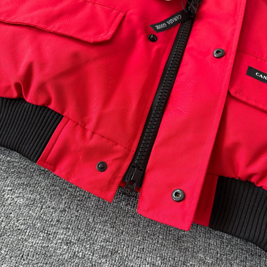 Canada Goose