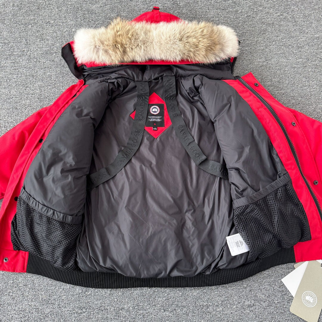 Canada Goose