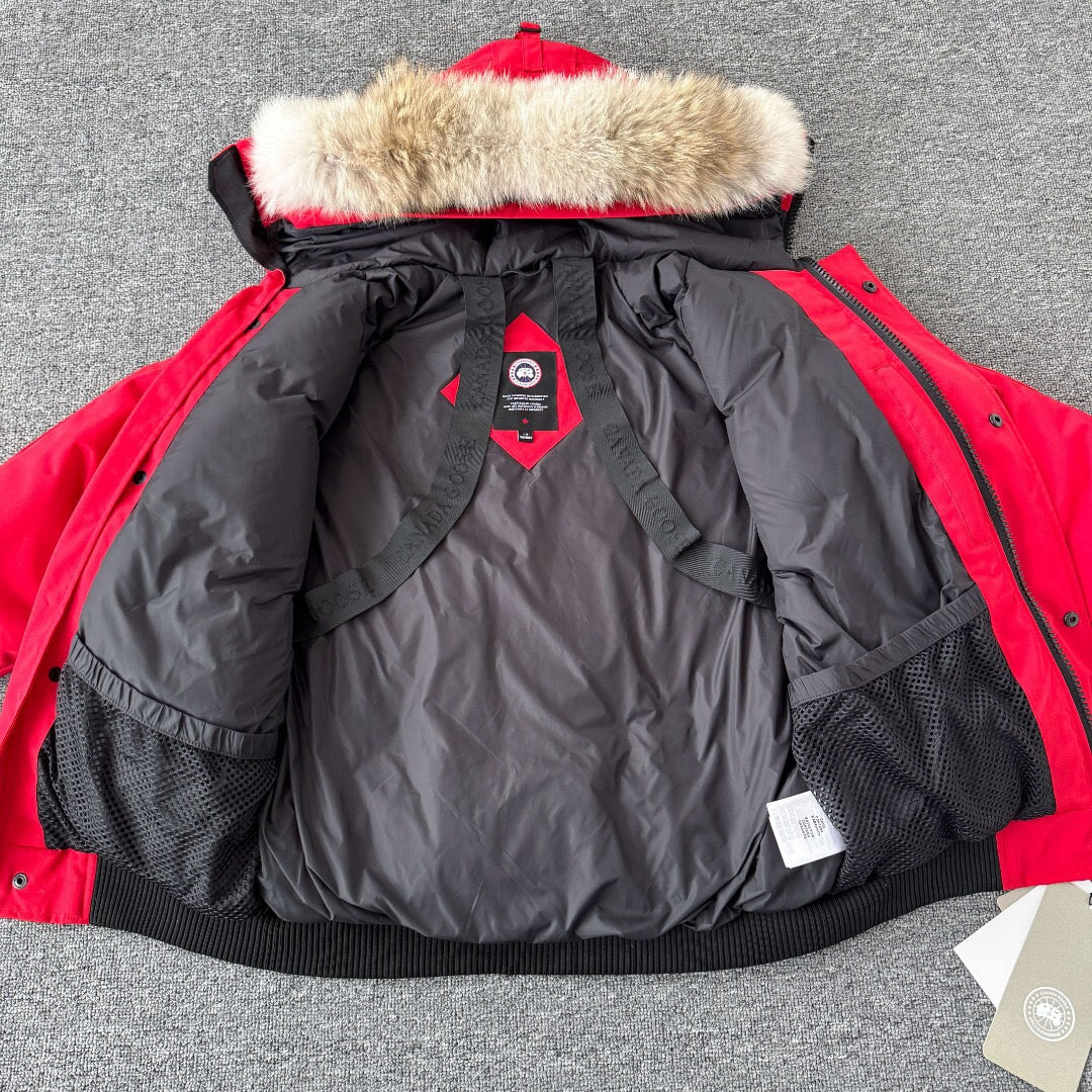 Canada Goose