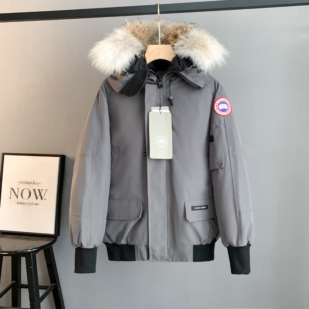 Canada Goose