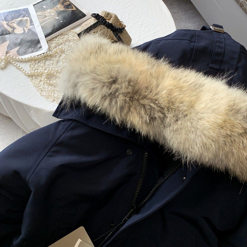 Canada Goose